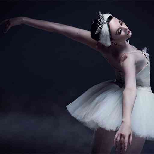 THE NUTCRACKER A SHORTER TALE, Saint Louis Ballet