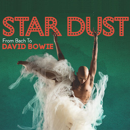 Stardust - From Bach To David Bowie