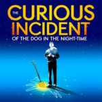 The Curious Incident of The Dog In The Night-Time – Preview Performance